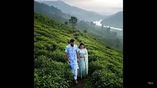 Dreamy Pre-Wedding Scene in Munnar | Misty Hills, Tea Plantations & Romantic Vibes