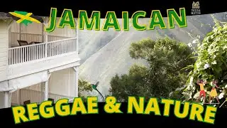 Reggae Rhythms and Jamaican Gardens: 1 Hour of Soulful Music and Scenic Agriculture Views!