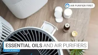 Using Essential Oils in Your Air Purifier: Yes or NO!