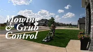 Mowing & Grub Control in One Day | EGO Mower + Typhoon Sprayer | Turf Lab Lawn Care 5
