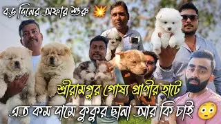 শ্রীরামপুর পোষ্য প্রাণীর হাটে বড় দিনের ধামাকা অফার 💥 Serampore Pet Market Recent Dog Price Update 😳