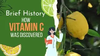 How Vitamin C was Discovered || Vitamin C History