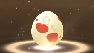 Nine 12km Red Strange Eggs Hatching - 02 May 2023