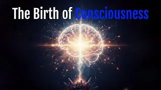 The Birth of Consciousness