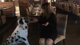 CH2's Top 10 Bachelorette of the Year Nominee, Darlene Schuetz
