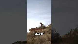 I Tried Gaming in the Desert!