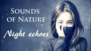 White Wave &ndash; Nightlife & Words | Water, Wind & Jayne Anne Phillips&rsquo; Quiet Reflections