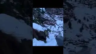Excuses..❤️🔥| Ap dhillon |  Shimla_view.. #view #reviews #viral #trending #vlog #music #shorts .