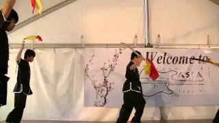 Martial Arts at 2015 Cleveland Asian Festival