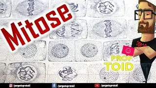 ✏ Mitose (Dica 14) - Hora do ENEM (Prof. Toid) ✏