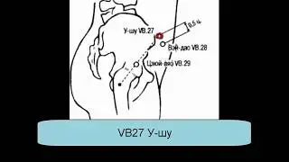 VB27 У-шу