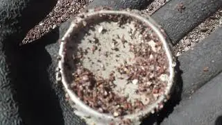 Detecting Devon: Smugglers Beach.. What did I find?