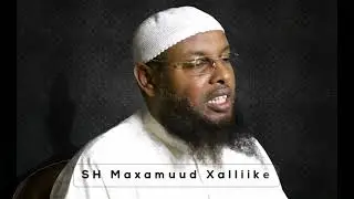 Danbiyada Badan Maxaa Qofka Ka Maydha? Sh Maxamud Xalliike