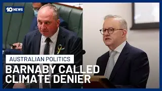 Anthony Albanese Calls Barnaby Joyce A Climate Denier As Net Zero Debate Continues | 10 News