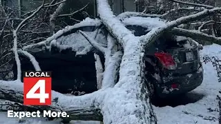 Family waits months for tree damage help on Detroit's west side