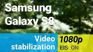 Samsung Galaxy S8 1080p/30fps video sample - stabilization (2)