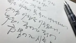 Fast Korean Cursive Handwriting with Fountain Pen
