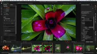 Quick Tip: Work with metadata and a big preview In ON1 photo RAW