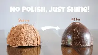 I Shined a Coconut Shell Without Any Polish!