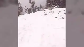 Bir- Billing -winters