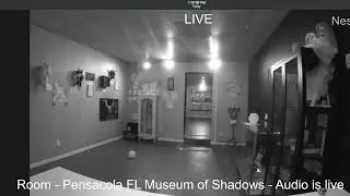 Museum of Shadows - Live Ghost Cam