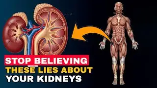 Dangerous Myths About Kidney Health You Still Believe