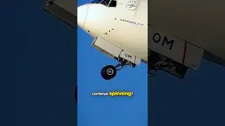 Do Airplane Wheels Continue Spinning?