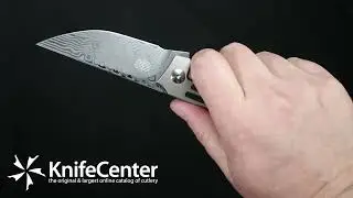 We Knife Company Tashi Bharucha Speedliner Frame Lock Flipper Knife