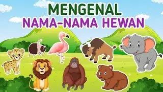 Belajar Mengenal Nama-Nama Hewan - Video Edukasi Anak || Dunia Anak Cerdas