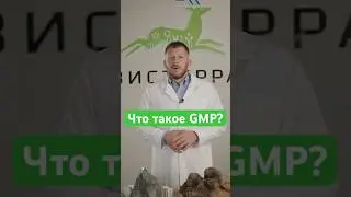 ЧТО ТАКОЕ GMP? #здоровье #бад #романбоев #советы #вистерра #gmp