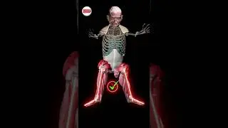 The SECRET To A Pain-Free Squat!🤯