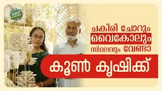 20 ദിവസം കൊണ്ട് കൂൺ വിളവെടുക്കാം | വൈക്കോലും സ്ഥലവും ചകിരി ചോറും വേണ്ടാ | Mushroom Farming Malayalam