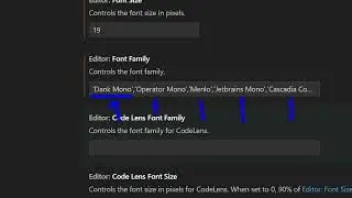 How to Change Font Family & Set Fonts in VSCode IDE