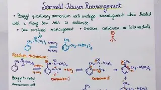 Sommelet Hauser Rearrangement;tricks to solve questions,Evidences of reaction mechanism#CSIR#NET#JRF