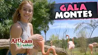 Gala Montes @MrGalamontes pasó un domingo con su familia en Africam Safari.