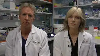 STAT3-mediated upregulation links innate immunity with cell migration to promote tumourigenesis