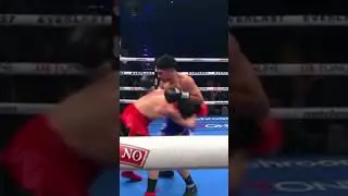 REF GOES DOWN!😅#EnnisStanionis #boxing #boxingevent #boxingmatch #boxingtraining #knockout #box
