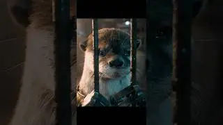 Rocket&rsquo;s Escape Plan Begins! 🦝🔧🚪 | Guardians of the Galaxy Vol. 3 (2023)