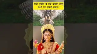 Why did Goddess Lakshmi choose an owl as her vehicle? #laxmi #owl #divine #hindistories #youtubeshorts #viral