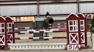 Kylie Martin | Dedwig | 1.0 meter jump-off | Swan Lake