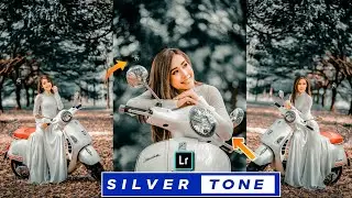 How to Edit Silver Tone Photo editing Lightroom Mobile tutorial with Free Preset