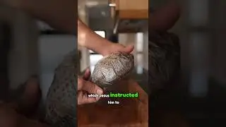 Saint Peter fish 🐟(tilapia)story