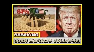 U.S. Corn Exports Collapse &mdash; 94% Wiped Out in Massive Agricultural Crash