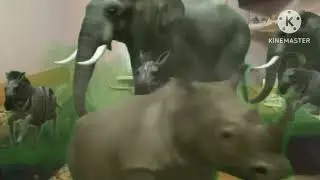 fxguru effect zoo escape