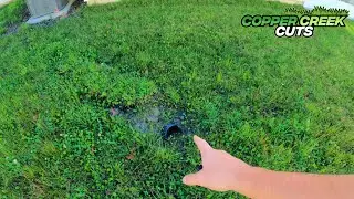 How To Quote Lawn Care Mowing Jobs (The One That Is Really Wet)