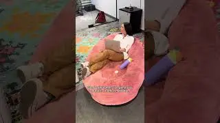 Human Dog Bed #dogbed #humandogbed #plufl #shorts