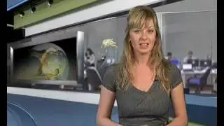 16.04.09- BForex Weekly Russian Review