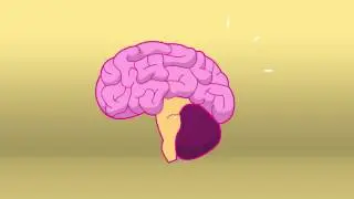 Epigenetics Video - Organizational DNA