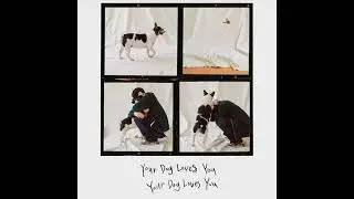 [1Hour] Colde (콜드) - Your Dog Loves You
