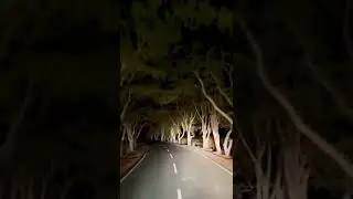 Horror Bike Ride At Night 🤯😵🎃 #shorts #nightdrive #horrorstories